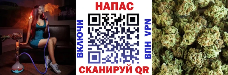Сколько стоит Сегежа КОКАИН  Меф  МЕТАДОН  Гашиш  АМФЕТАМИН 