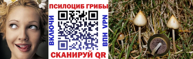 наркотики  darknet Telegram  Галлюциногенные грибы Magic Shrooms  Сегежа 